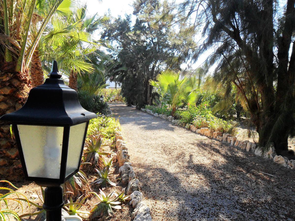 Apartamentos Concha Del Mar Sagunto Exteriör bild